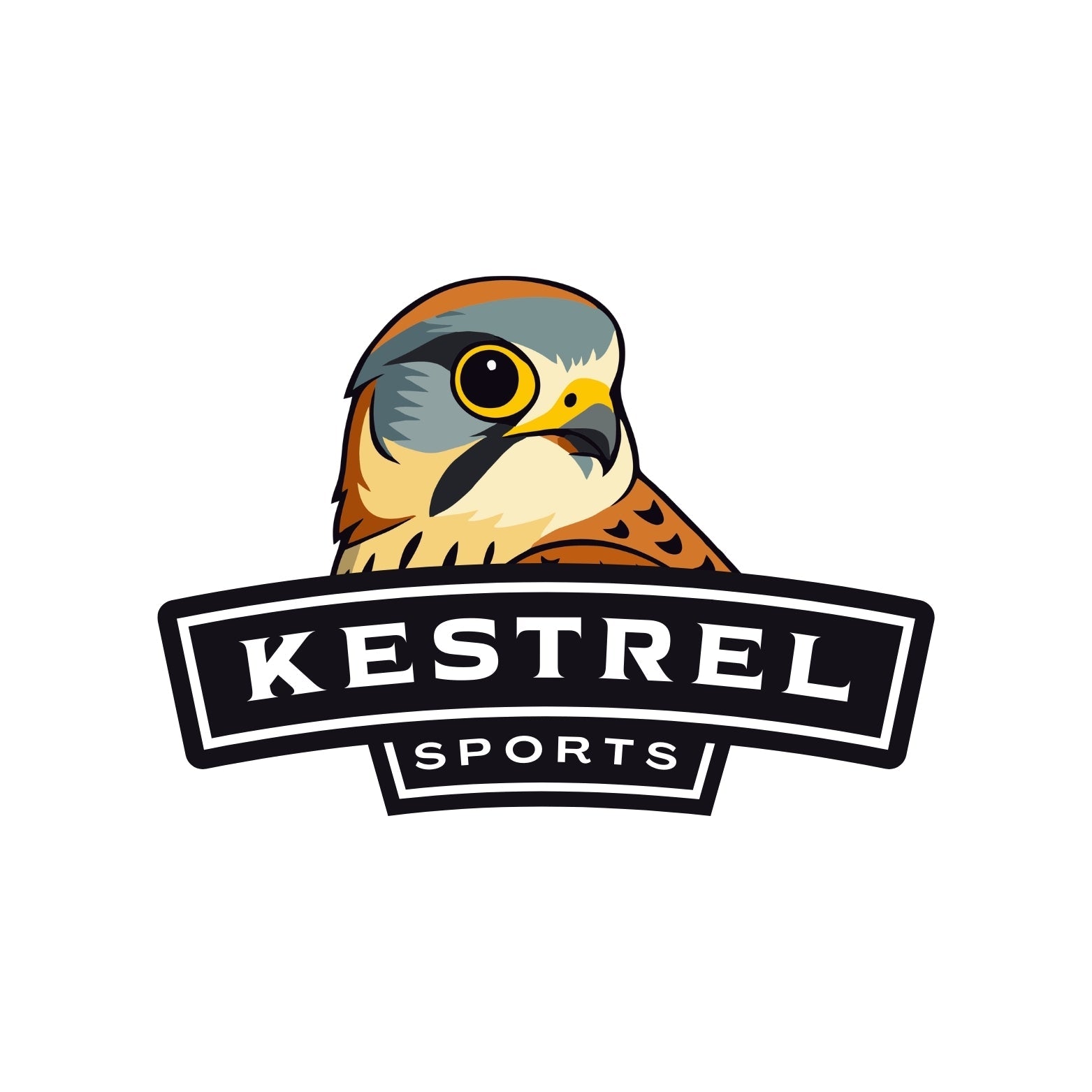 From Home to the Field: The First Three (and a half) Months of Kestrel Sports